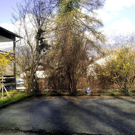 Ferienappartement Thumseestrasse Bad Reichenhall Buitenkant foto