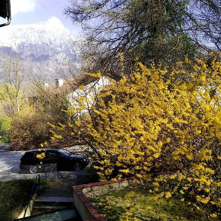 Ferienappartement Thumseestrasse Bad Reichenhall Buitenkant foto